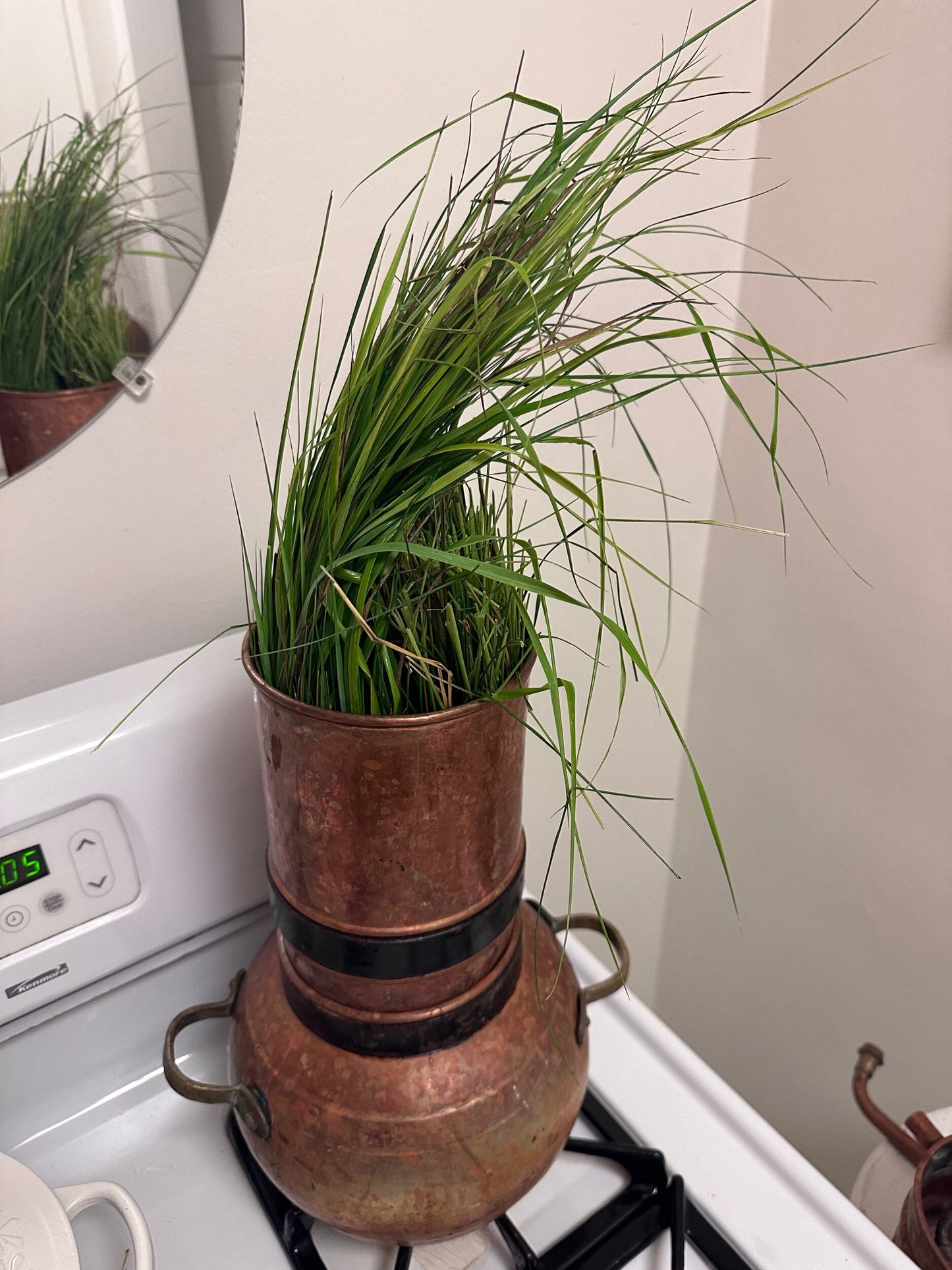 Holy Sweetgrass Hydrosol