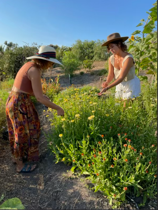 Tending the land gardening in community