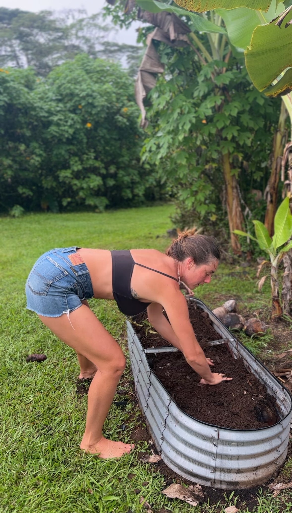 build a garden from scratch