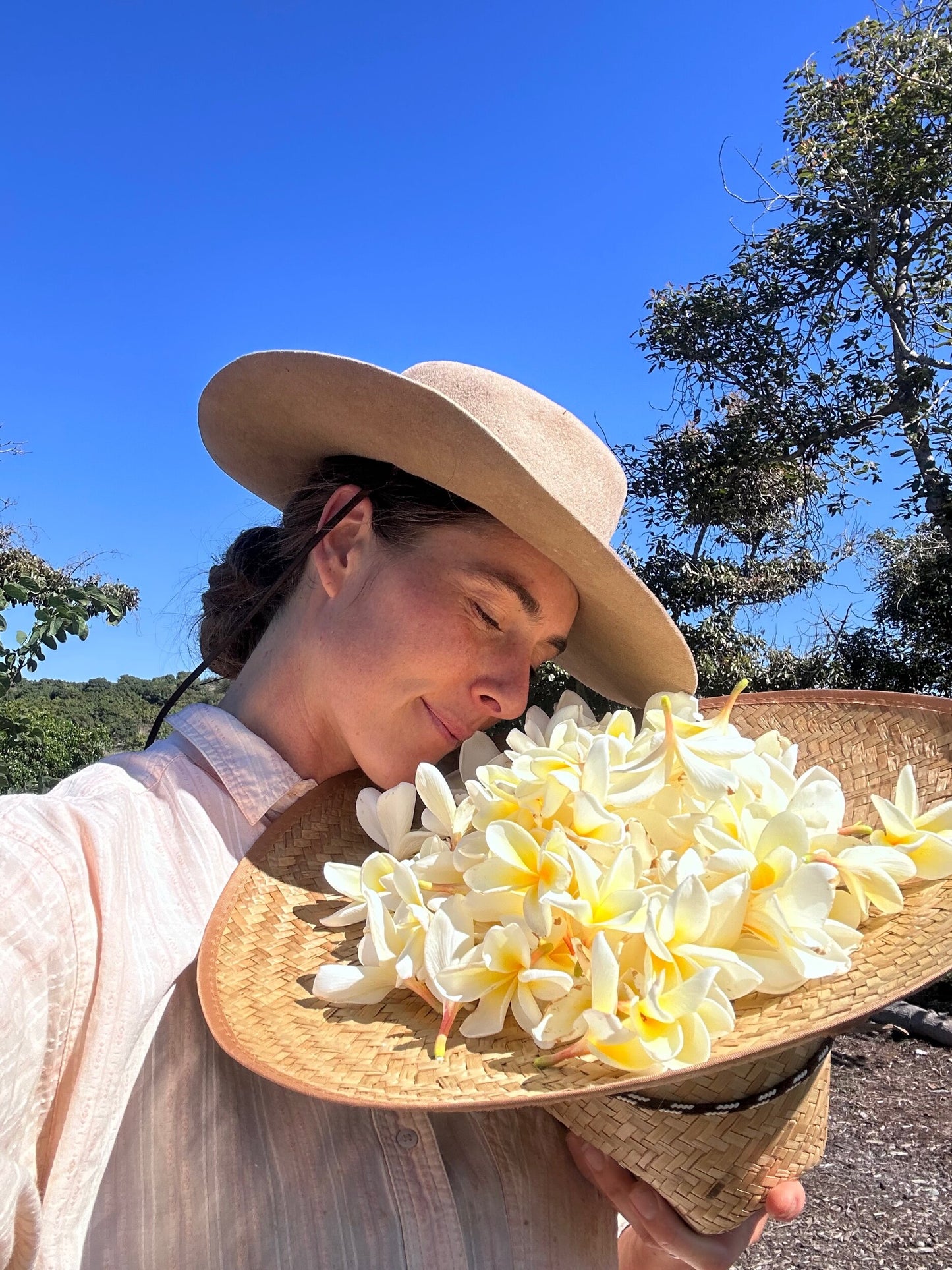 Organic Plumeria Hydrosol