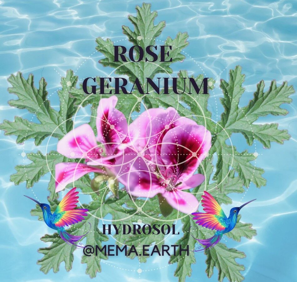 Organic Rose Geranium Hydrosol